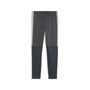 Puma IndividualLIGA Training Pants Jr - Strong Gray-PUMA Red-Gray Echo
