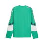 Puma PUMATECH-X Waffle Longsleeve - Vibrant Green