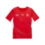 Puma SFV Home Jersey Replica - PUMA Red-PUMA White