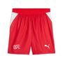 Puma SFV Shorts Replica - PUMA Red-PUMA White