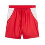 Puma SFV Shorts Replica - PUMA Red-PUMA White