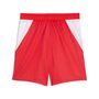 Puma SFV Shorts Replica Jr - PUMA Red-PUMA White