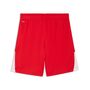Puma teamLIGA26 Shorts - PUMA Red-PUMA White-PUMA White