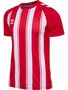 Hummel hmlMATCH STRIPED JERSEY S/S - TRUE RED/WHITE
