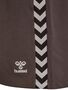 Hummel Hmlroot Shorts - chocolate brown