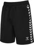 Hummel Hmlroot Shorts - black