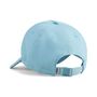 Puma TRAINING BB Cap