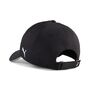 Puma teamADDITIONS CAP