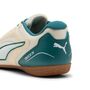 Puma TRUCO IV Jr