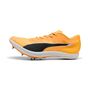 Puma evoSPEED Long Distance