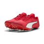 Puma evoSPEED Brush 7