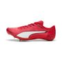 Puma evoSPEED Brush 7
