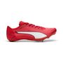 Puma evoSPEED Brush 7