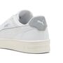 Puma Court Lally DayINight
