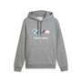 Puma BMW MMS Ess Hoodie Fleece