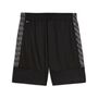 Puma teamLIGA26 Training Shorts