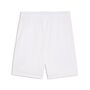 Puma �FB Shorts Replica