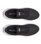 Under Armour Ua Ascend - black