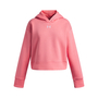 Under Armour Ua Rival Fleece Hoodie - bittersweet pink