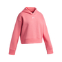 Under Armour Ua Rival Fleece Hoodie - bittersweet pink