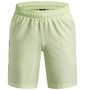 Under Armour Ua Tech Woven Wordmark Short - fade green 