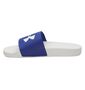 Under Armour Ua Armr Slide - royal