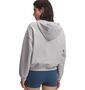 Under Armour Ua Icon Fleece Hz Hoodie - mod gray full heather