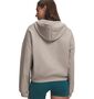 Under Armour Ua Icon Fleece Hz Hoodie - timberwolf taupe
