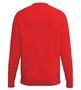 Erima Cmpt Wings Sweatshirt - red