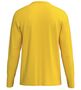 Erima Ts Longsleeve Function - yellow