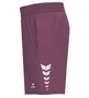 Erima Celebrate 125 Shorts Without Inner - burgund
