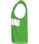 Erima Training Bib - green