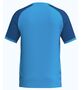 Erima Wings Jersey Shortsleeve - curacao/new royal