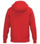 Erima Cmpt Wings Hoody Jacket - red