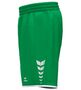 Erima Wings Shorts Without Inner Slip - smaragd