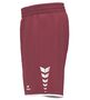 Erima Wings Shorts Without Inner Slip - bordeaux