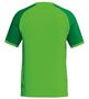Erima Wings Jersey Shortsleeve - green gecko/smaragd