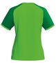 Erima Wings Jersey Shortsleeve - green gecko/smaragd