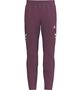 Erima Celebrate 125 Training Pants - burgund