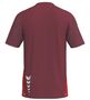 Erima T&F Wings T-Shirt Function - bordeaux/red