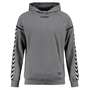 Hummel Authentic Charge Poly Hoodie Pullover grau 033403-2007