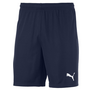 Puma TeamGOAL 23 Knit Shorts kurze Herren Hose Sporthose Trainingshose blau 704262-06