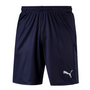 Puma Liga Shorts Core kurze Herren Hose Sporthose Trainingshose blau 703436-06