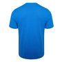 Puma RNL Rhein Neckar L�wen TeamGOAL 23 Casuals Tee T-Shirt blau 656578-02