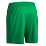 Salming Granite Game Junior Shorts kurze Kinder Hose Sporthose gr�n 1198742-0606