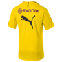Puma BVB Borussia Dortmund Herren Training Jersey Trikot T-Shirt gelb/schwarz 753358-01