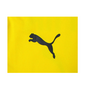 Puma BVB Borussia Dortmund Herren Longsleeve Training Jersey Trikot Shirt langarm gelb 753361-01