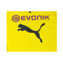 Puma BVB Borussia Dortmund Herren Longsleeve Training Jersey Trikot Shirt langarm gelb 753361-01
