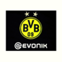 Puma BVB Borussia Dortmund LTD Kinder Longsleeve Training Jersey Trikot Shirt JR langarm schwarz 753362-02