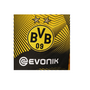 Puma BVB Borussia Dortmund LTD Kinder Stadium Training Aufw�rmtrikot Jersey Trikot T-Shirt JR gelb/schwarz 754542-01